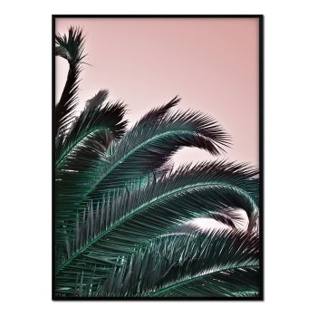 Palmeras - Affiche avec cadre noir - Feuilles de palmier coucher de soleil