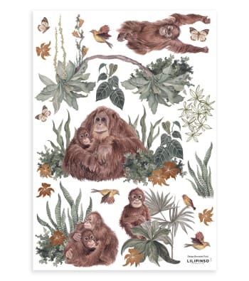 UTAN - Sticker singes, les orangs-outans en vinyle 29,7 x 42 cm