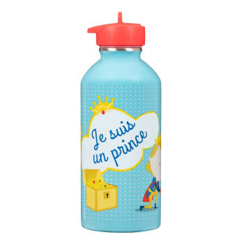 Bouteille d'eau de charme Disney multicolore et transparente - 550 ml Bouteille  d'eau en plastique sans BPA : : Sports et Loisirs