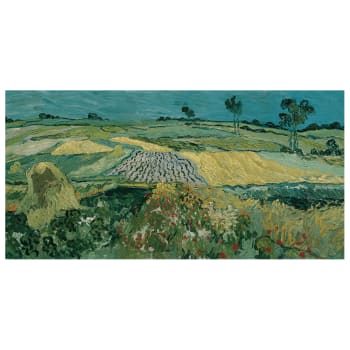 Cuadro lienzo - La Llanura de Auvers - Vincent Van Gogh - 50x100cm