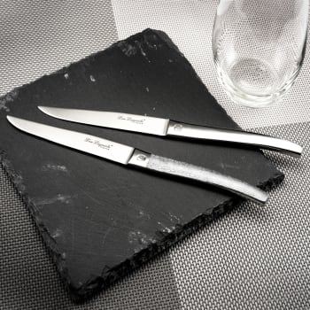 Pradel Excellence Steakmesser-Set – 6-teilig, Edelstahl, Farbige Griffe, Im Aufbewahrungskasten 26x24 Cm