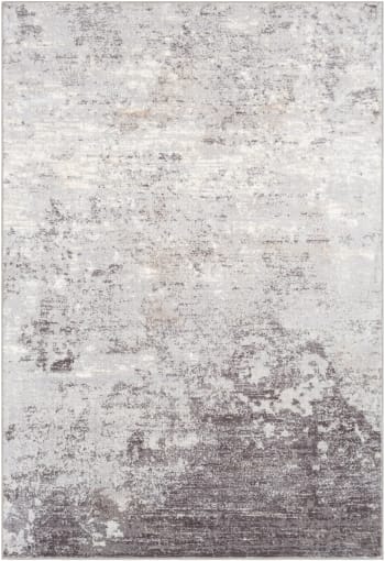 Fiona - Tapis Abstrait Moderne Gris/Blanc 200x275