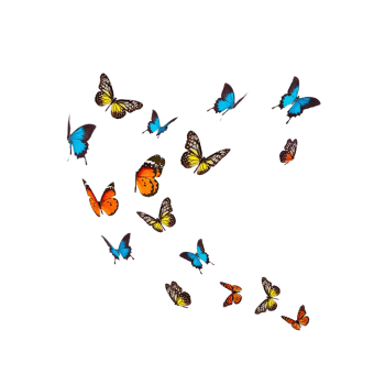 Autocollant mural papillons