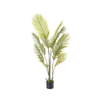 Planta artificial palmera con maceta verde de plástico PE de 160 cm