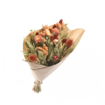 BFS - Bouquet fleurs séchées L Orange D25cm