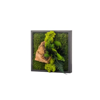 STAB CANOPE - Tableau végétalisé mono noir 22x22cm