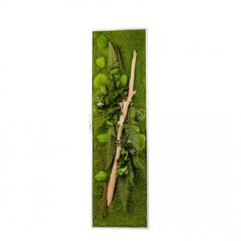 STAB NATURE - Tableau végétal stabilisé nature pano 40 x 140 cm