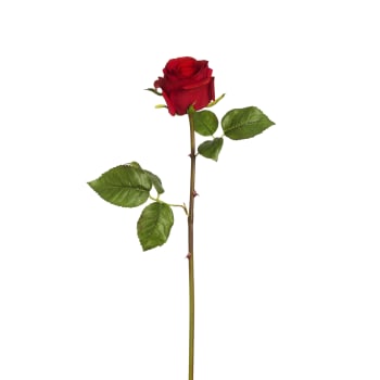 Diane - Tige de rose artificielle rouge H53