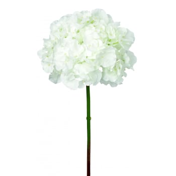 Anae - Tallo de hortensia artificial blanca h50