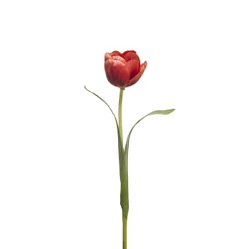 Emily - Tige de tulipe artificielle rouge H35