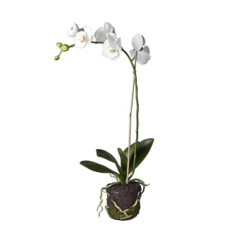 Orchidea artificiale in terra H59