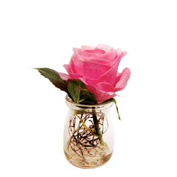 Beauty - Rose en illusion d'eau artificielle fuchsia H10