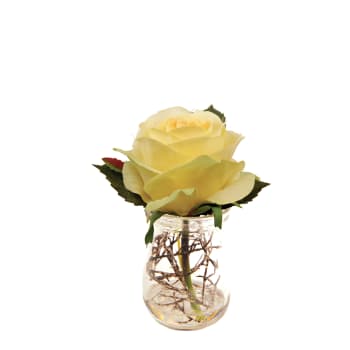 Beauty - Rose en illusion d'eau artificielle jaune H10