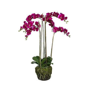 Orchidea artificiale di terra viola H100