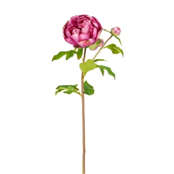 Josie - Tige de pivoine artificielle rose fuchsia H55