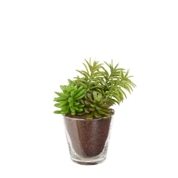MACHA - Succulente artificiali verdi in vaso H27