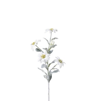 Tallo de edelweiss artificial blanco h45
