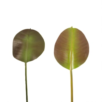 Hojas de ficus artificial verde con tonos marrón h36