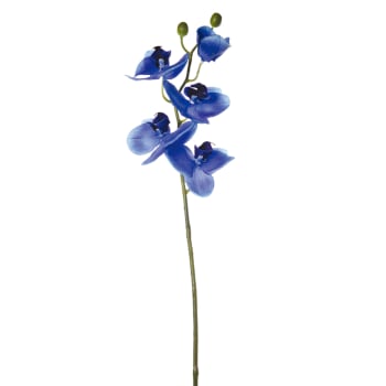 Forever - Tige d'orchidée phalaenopsis bleue H47