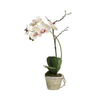 Sina - Orchidée en pot artificielle blanche et fuchsia H63