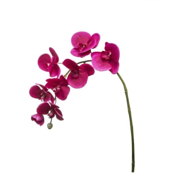 Forever - Tige d'orchidée phalaenopsis artificielle fuchsia H82