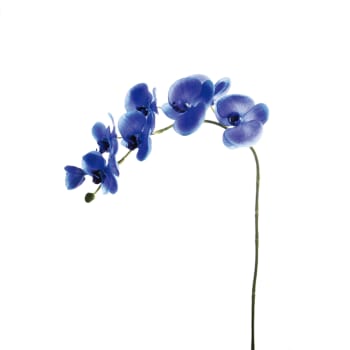 Forever - Tige d'orchidée phalaenopsis mauve H47