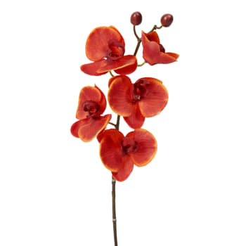 Forever - Tallo de orquídea phalaenopsis artificial roja h47