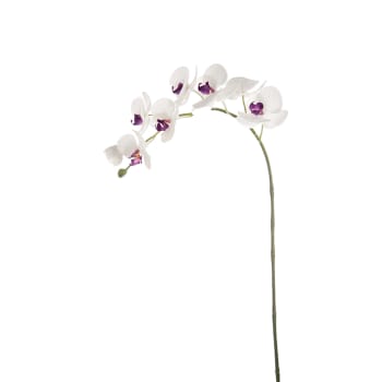 Forever - Tallo de orquídea phalaenopsis malva h47