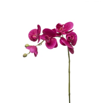 Forever - Tige d'orchidée phalaenopsis artificielle fuchsia H47