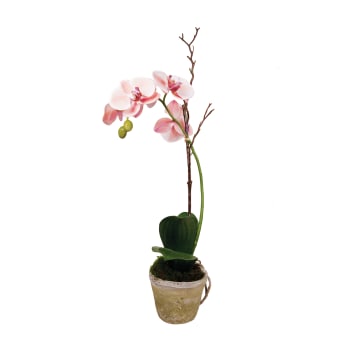 Sina - Orquídea en maceta artificial blanca y rosa h63