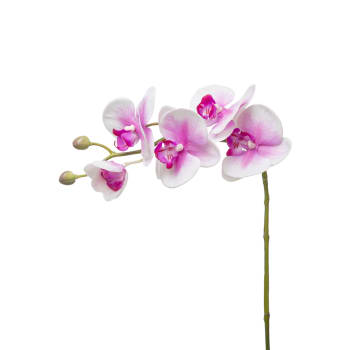 Forever - Tige d'orchidée phalaenopsis artificielle rose H47