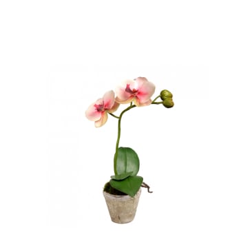 Sina - Orchidea artificiale in vaso rosa H28