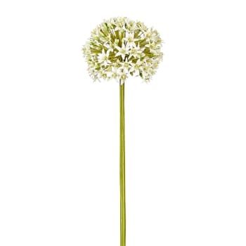 Everest - Tallo de allium everest artificial blanco h90