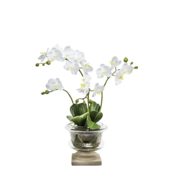 Composizione Orchidee Artificiali In Vaso Di Vetro - Decorazione Casa Moderna, H 37cm - Foto 3