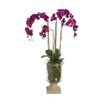 Marylin - Orchidée en coupe artificielle violette H88
