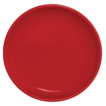 Lot de 6 assiette plate en grès rouge 250 mm