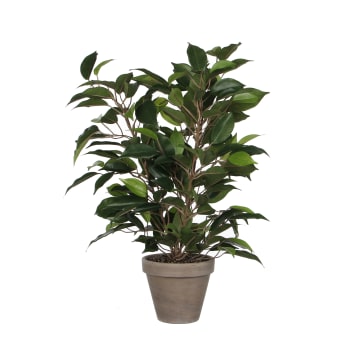 Ficus natasja - Ficus natasja artificiale verde in vaso alt.40