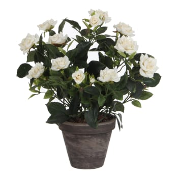 Rosebush - Künstlicher weißer Rosenstrauch im Blumentopf, H33