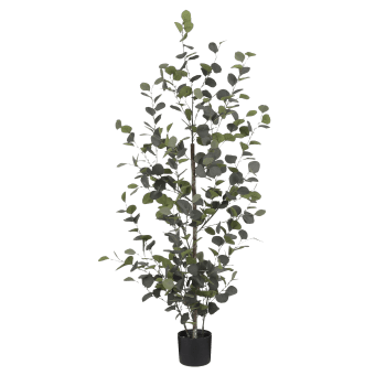 Eucalyptus - Eucalipto artificiale in vaso alt.150