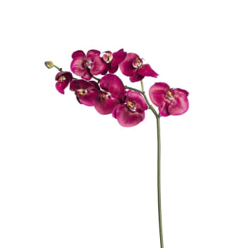 Budy - Tige d'orchidée phalaenopsis artificielle fuchsia H87