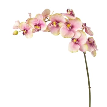 Budy - Tige d'orchidée phalaenopsis artificielle rose H104