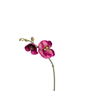 KARTIKA Ramo Di Trifoglio Finto Con 14 Fiori - Pianta Artificiale Decorativa Bianca, 20cm