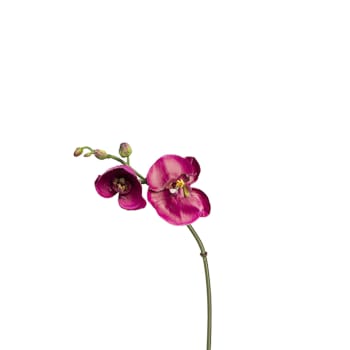 Budy - Tige d'orchidée phalaenopsis artificielle fuchsia H26