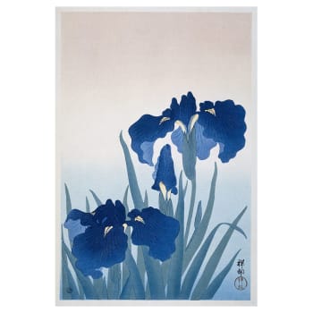 Cuadro lienzo - Iris - Ohara Koson - Decoración Pared cm. 60x90