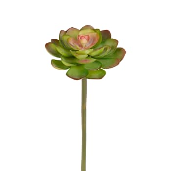 Echeveria - Piquet de succulente artificielle verte et rouge H20