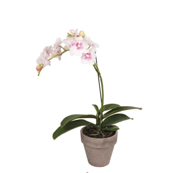 Orchidea dendrobium artificiale in vaso bianca e rosa pallido H45