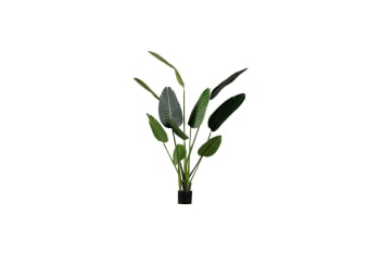 Strelitzia - pianta artificiale verde H164