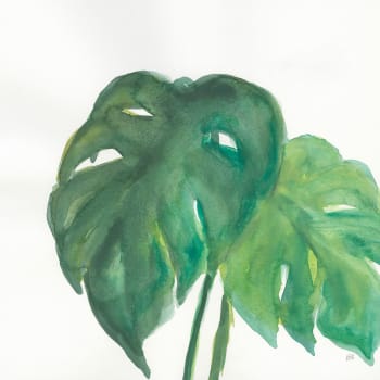 Tableau Plante monstera watercolor imprimé sur toile 80x80cm