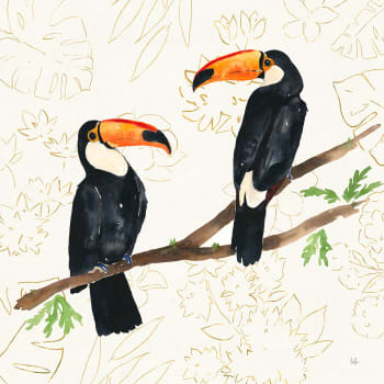 Cuadro pájaros tropicales felices impresión sobre lienzo 50x50cm