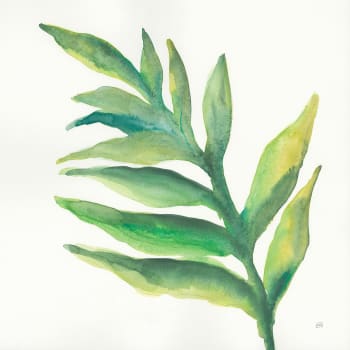 Tableau Plante aloe watercolor imprimé sur toile 30x30cm